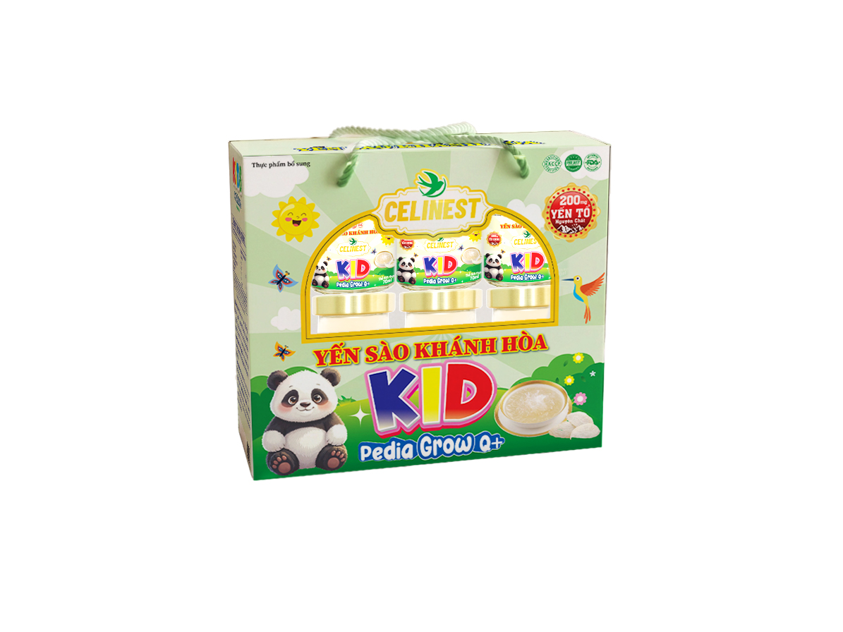 HỘP KIDS 3D